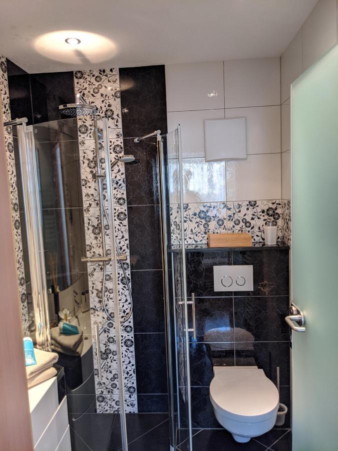 朗根费尔德Haus Alp Deluxe公寓 外观 照片